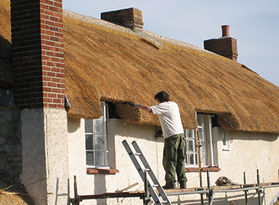 RJ Matravers Assessing Thatch condition