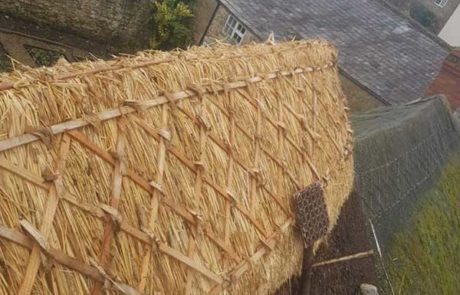 RJ-Matravers Thatch Ridge